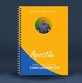 Apostila de Direito do Trabalho e Processo do Trabalho para AJAA do TRT 2SP ( 1078 )